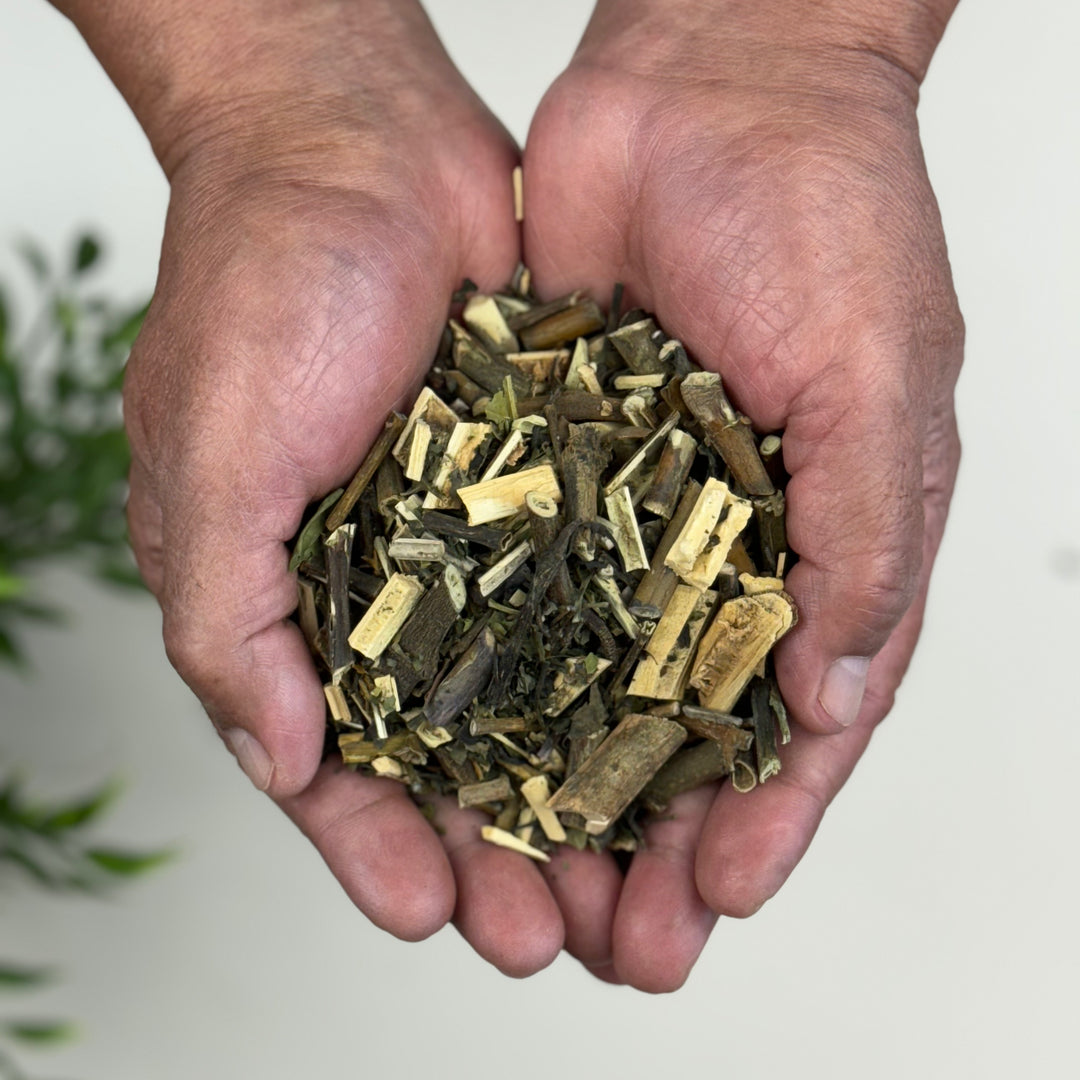 MUICLE HERBAL TE