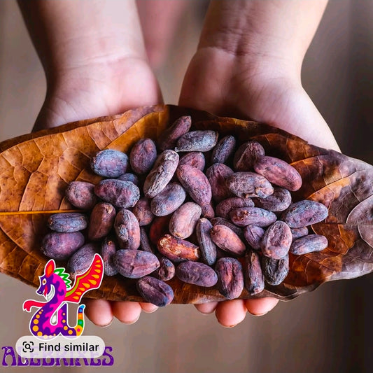 GRANOS DE CACAO ENTEROS CRUDOS AUTÉNTICO CACAO DE MÉXICO