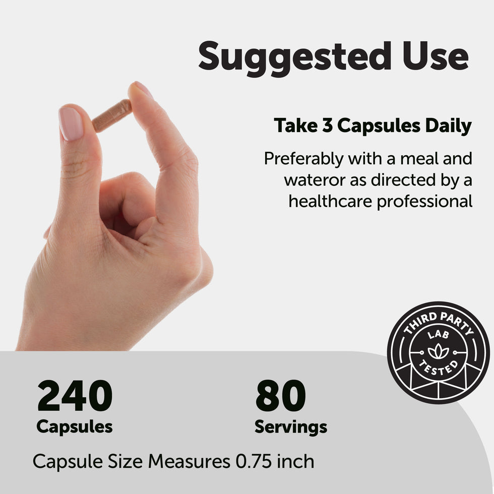 SHILAJIT 11 - IN - 1 240 CAPSULES